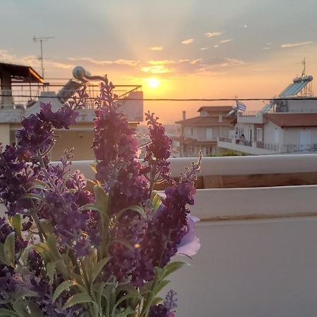 山脚下，舒适温馨海景公寓 Atina Dış mekan fotoğraf
